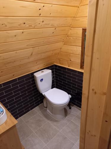 Baño con aseo en una cabaña de madera en Dacza Zakątek, en Falsztyn