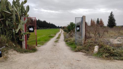 un camino de tierra con una puerta en un campo en Henchir ejdoud, en Kairouan