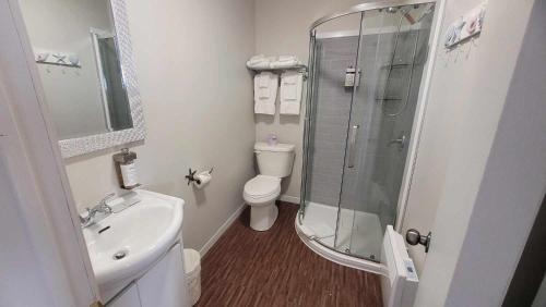 een badkamer met een douche, een toilet en een wastafel bij Hôtel Aquamer in Carleton sur Mer