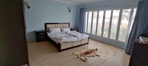 尼兹瓦Hostel Dar Alslam的一只狗躺在卧室的地板上