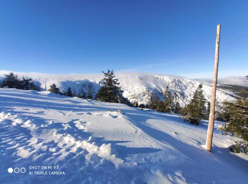 apartament Forest Karpacz during the winter