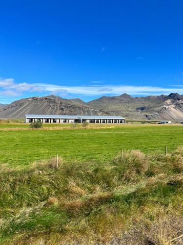 un bâtiment dans un champ avec des montagnes en arrière-plan dans l'établissement Seljavellir Guesthouse, à Höfn