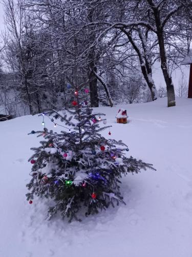 Un árbol de Navidad con luces en la nieve en Котедж "Затишний відпочинок", en Huklyvyy