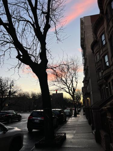 een boom in een straat met geparkeerde auto's bij Soul Food 'Mont Morris' in New York