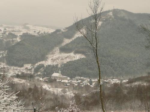 - une vue sur une montagne enneigée avec un arbre dans l'établissement Domki na Polach Piwniczna-Zdrój, à Piwniczna-Zdrój