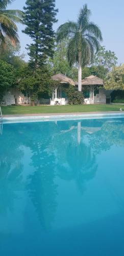 ein Pool mit blauem Wasser und Palmen im Hintergrund in der Unterkunft The Meadows Resort and Spa in Aurangabad