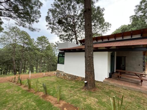 un edificio blanco con un árbol y un banco en Las Nubes, en Mazamitla