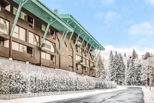 un bâtiment avec des arbres enneigés devant lui dans l'établissement Silver Mountain, Duplex 3 camere - 250 mp luxury garden - Poiana Brasov, à Braşov