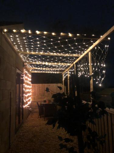 a string of lights on a pergola at night at Springwood farm 