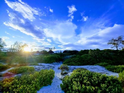 a river in a field with the sun setting at Watamu Beach Cottages in Watamu