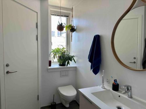 La salle de bains est pourvue de toilettes, d'un lavabo et d'un miroir. dans l'établissement Penthouse: Copenhagen delight, à Copenhague