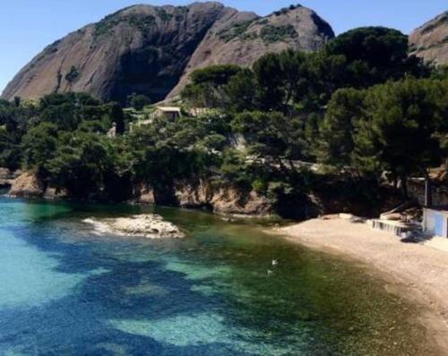 una spiaggia con alberi e una montagna sullo sfondo di Logement très chaleureux à Marseille a Marsiglia