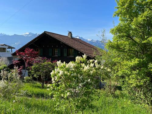 Naturlandskap nära lägenheten