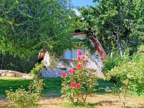 Κήπος έξω από το Cabaña con Vista al Lago en Barrio Melipal - Kuma Bariloche