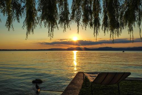 Priroda u blizini kampa