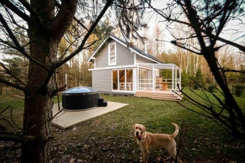 un chien debout devant une petite maison dans l'établissement HOTEL KOZI GRÓD Pokoje i Domki na Kaszubach, à Pomlewo