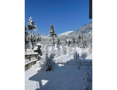 a snow covered yard with trees and a mountain at Pine Shadow Retreat, Manali in Manāli