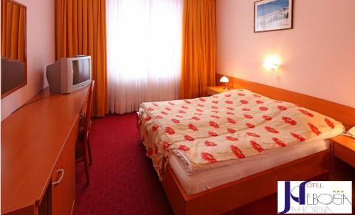 TV/trung tâm giải trí tại Hotel Nebojša Jahorina