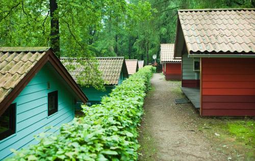 uma fila de edifícios vermelhos e azuis numa floresta em Waldidylle - Bungalows an der Talsperre Kriebstein em Kriebstein