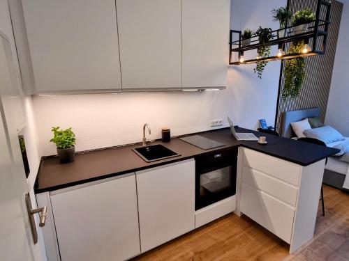 Majoituspaikan Modernes Apartment im Zentrum von Karlsruhe keittiö tai keittotila