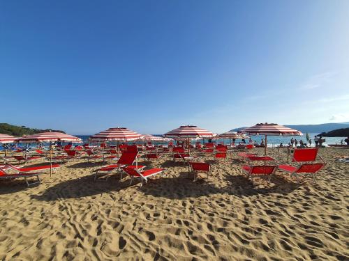 カポリーヴェリにあるLido I Palmiziの浜辺の椅子・傘