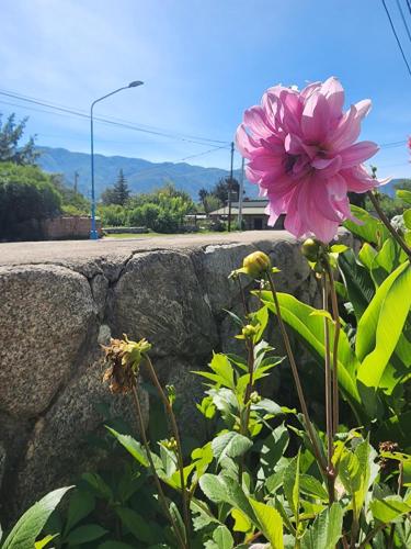 Kuvagallerian kuva majoituspaikasta Casa Feito Tafi, joka sijaitsee kohteessa Tafí del Valle