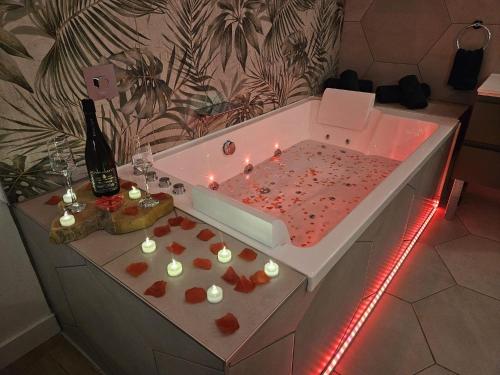 Ảnh trong thư viện ảnh của Suite romantique tropicale ở Vienne