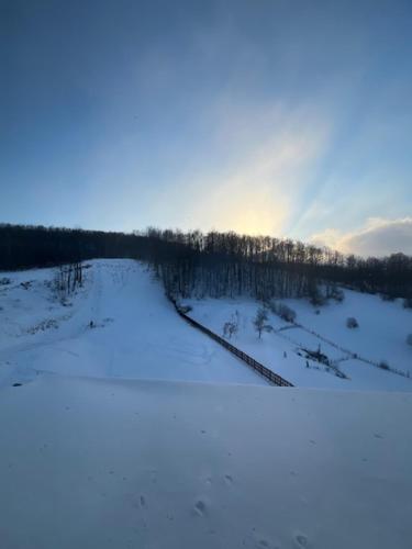 科尼茨Hotel Han Jelica的一片雪地,太阳照耀下