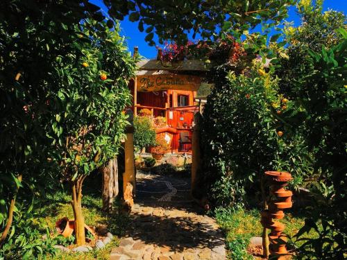 een huis met een bos planten ervoor bij Casas Maravilha by Madeira Sun Travel in Calheta