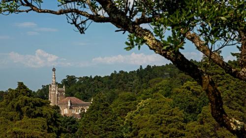 a building in the middle of a forest of trees at Palace Hotel do Bussaco in Luso