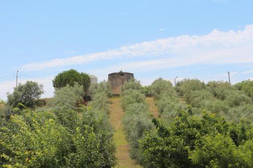 Un paisaje natural cerca de la estancia rural