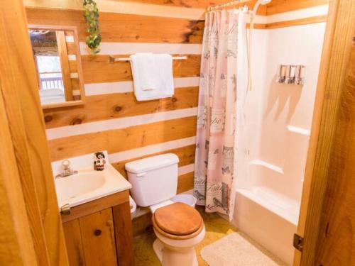 セバービルにあるRustic Cabinのバスルーム(トイレ、洗面台、シャワー付)