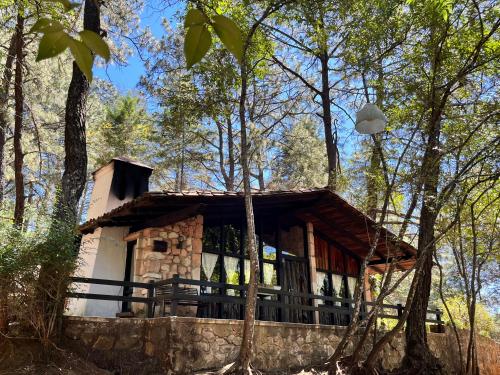 a log cabin in the woods with trees at Monteverde in Mazamitla