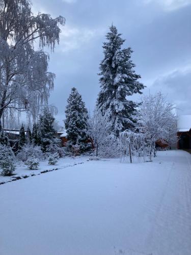 a yard covered in snow with trees andrees at Cicáskacus Vendégház in Matrafured