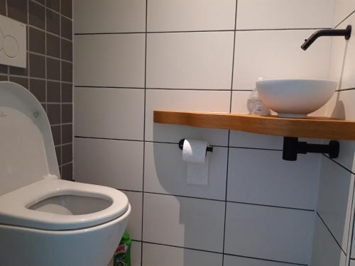 La salle de bains est pourvue de toilettes et d'un bol sur une étagère. dans l'établissement Sint Lambertusstraat, à Eindhoven