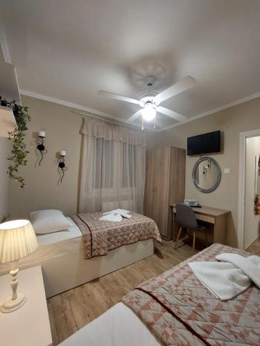 een slaapkamer met 2 bedden en een plafondventilator bij ALICE'S ARt HOUSE in Kavala