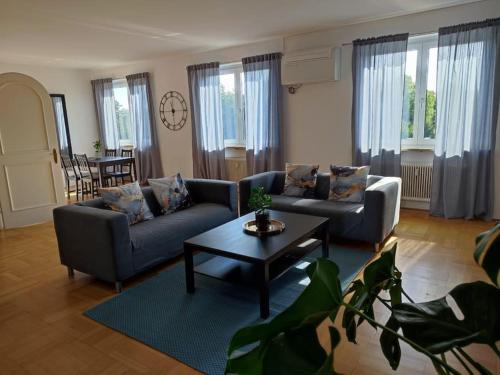 Χώρος καθιστικού στο Maisonette Wohnung 110qm in Linz.