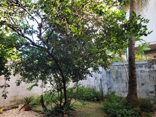 A garden outside Hotel Le Petit Paradis