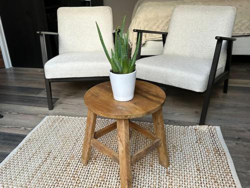 une table basse avec une plante en pot au-dessus dans l'établissement Hello Noordwijk - Studio Pietheinplein 1, à Noordwijk aan Zee