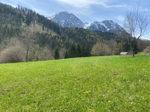 Natuurlandschap vlak bij het appartement