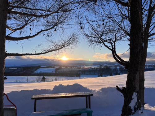 una panchina sotto un albero nella neve di Villa美瑛・やさしい窓 a Biei