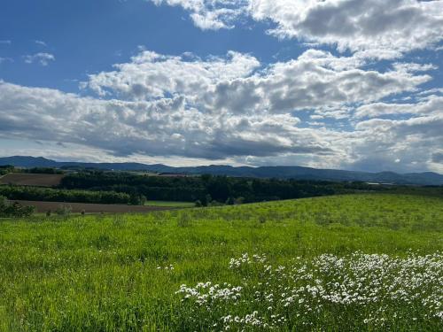 un prato verde con cielo azzurro e nuvole di Villa美瑛・やさしい窓 a Biei