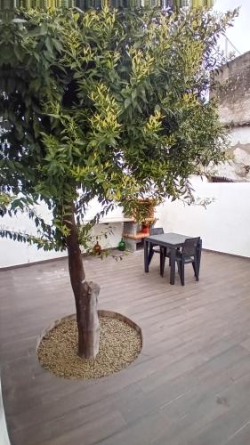 a tree and a bench next to a table at Apartment in Semeador in Portalegre