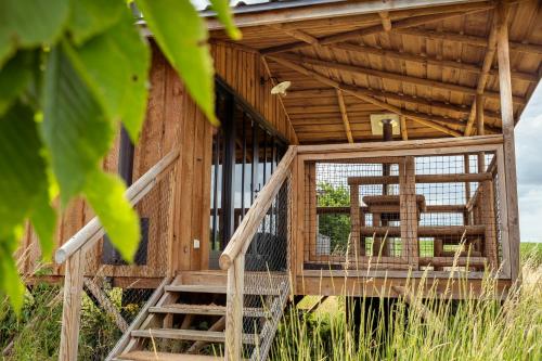 Balkon oz. terasa v nastanitvi Ecau Lodge - Logement insolite à 30km de Pairi Daiza