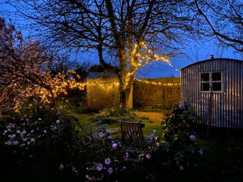 a garden at night with lights on a tree at The Wayside Shepherd Hut in Beaulieu