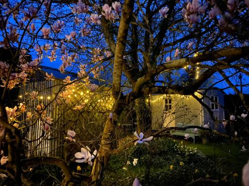 a tree with lights in front of a house at The Wayside Shepherd Hut in Beaulieu