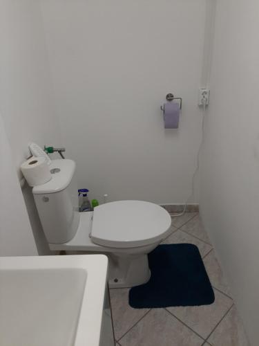 A bathroom at Schöne Wohnung am Bauernhof