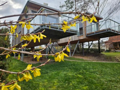 a tree branch with yellow leaves in front of a house at Baumhaus und Tinyhaus in Mühlhausen