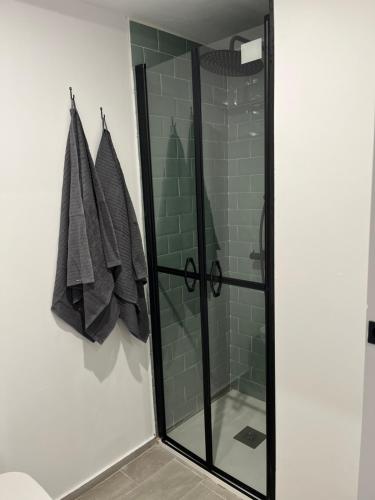 ein Bad mit einer Dusche und einer Glastür in der Unterkunft Apartamento Chic Centro in Dos Hermanas