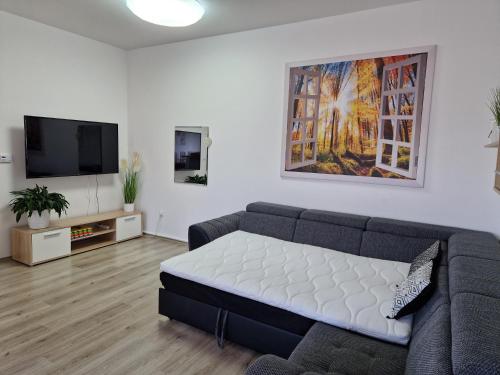 TV i/ili multimedijalni sistem u objektu Apartmán 10